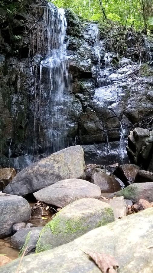Sinharaja Forest Sanctuary Деніяя Екстер'єр фото