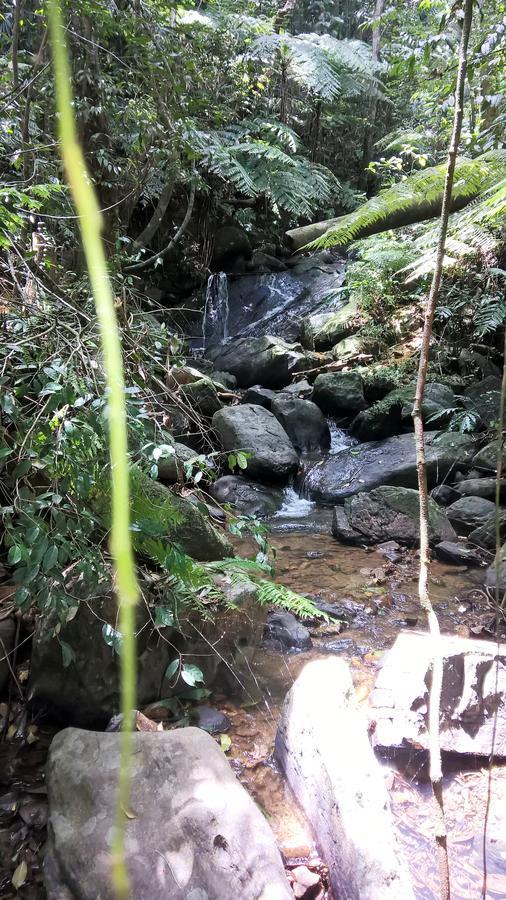 Sinharaja Forest Sanctuary Деніяя Екстер'єр фото