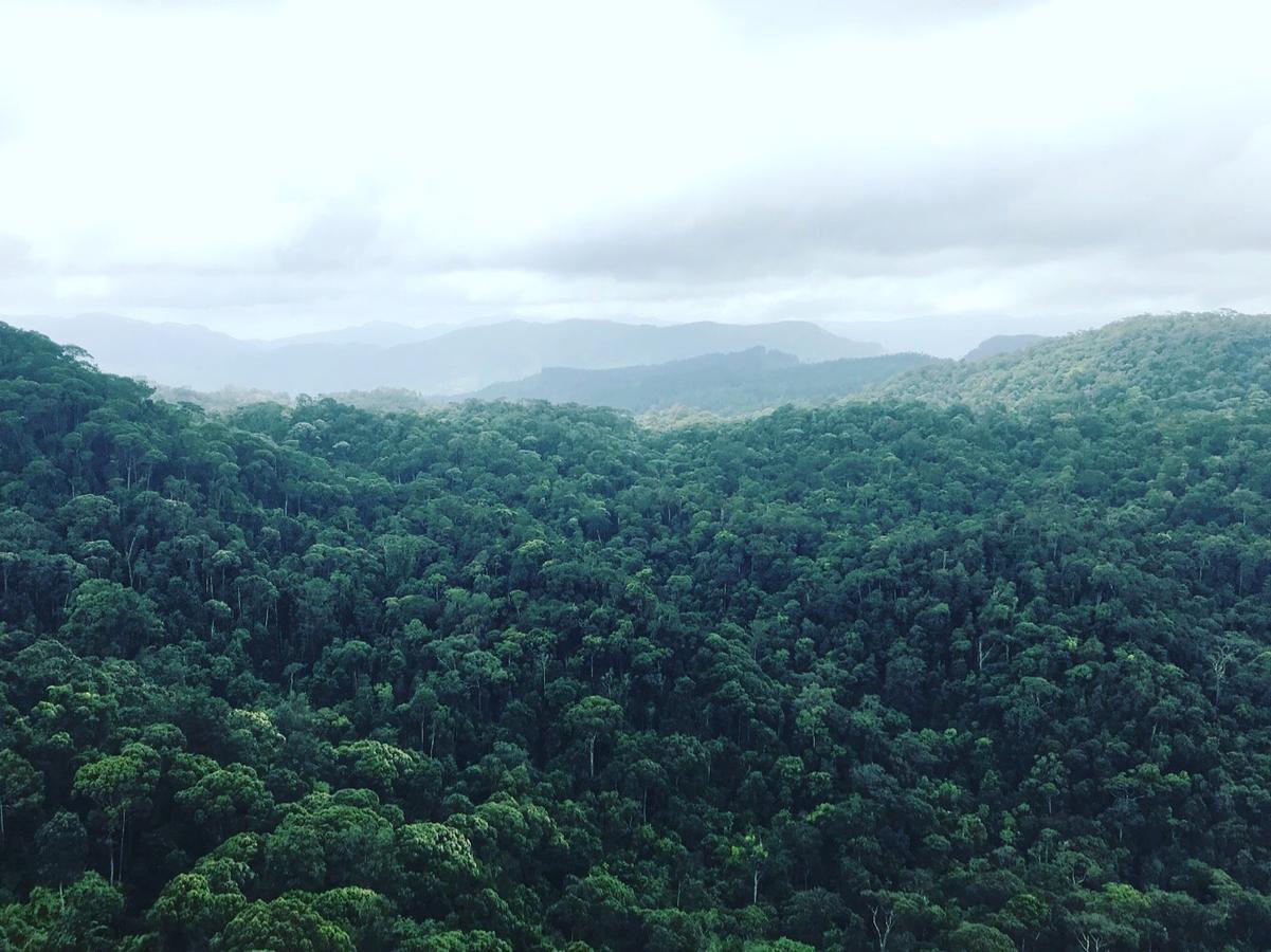 Sinharaja Forest Sanctuary Деніяя Екстер'єр фото